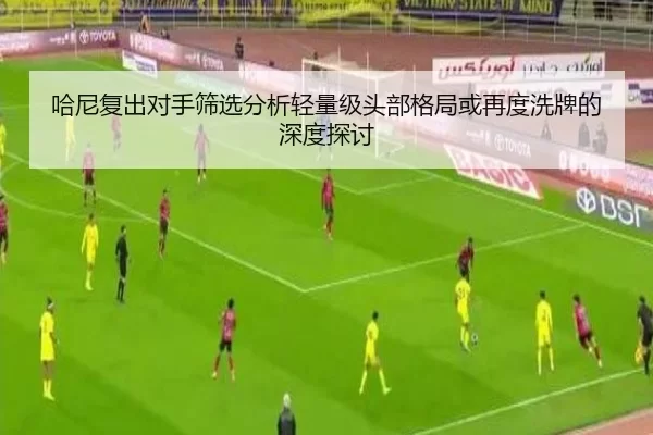 哈尼复出对手筛选分析轻量级头部格局或再度洗牌的深度探讨