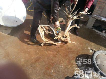 开云体育|“泄愤而砸ATM机”背后的思考(图4) 开云官网